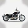 HARLEY DAVIDSON SOFTAIL M8 (2016-2023) FULL SYSTEM