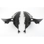 Fullsix - Fairing Cover Set BMW S1000RR
