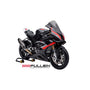 Fullsix - Carbon Windscreen BMW S1000RR