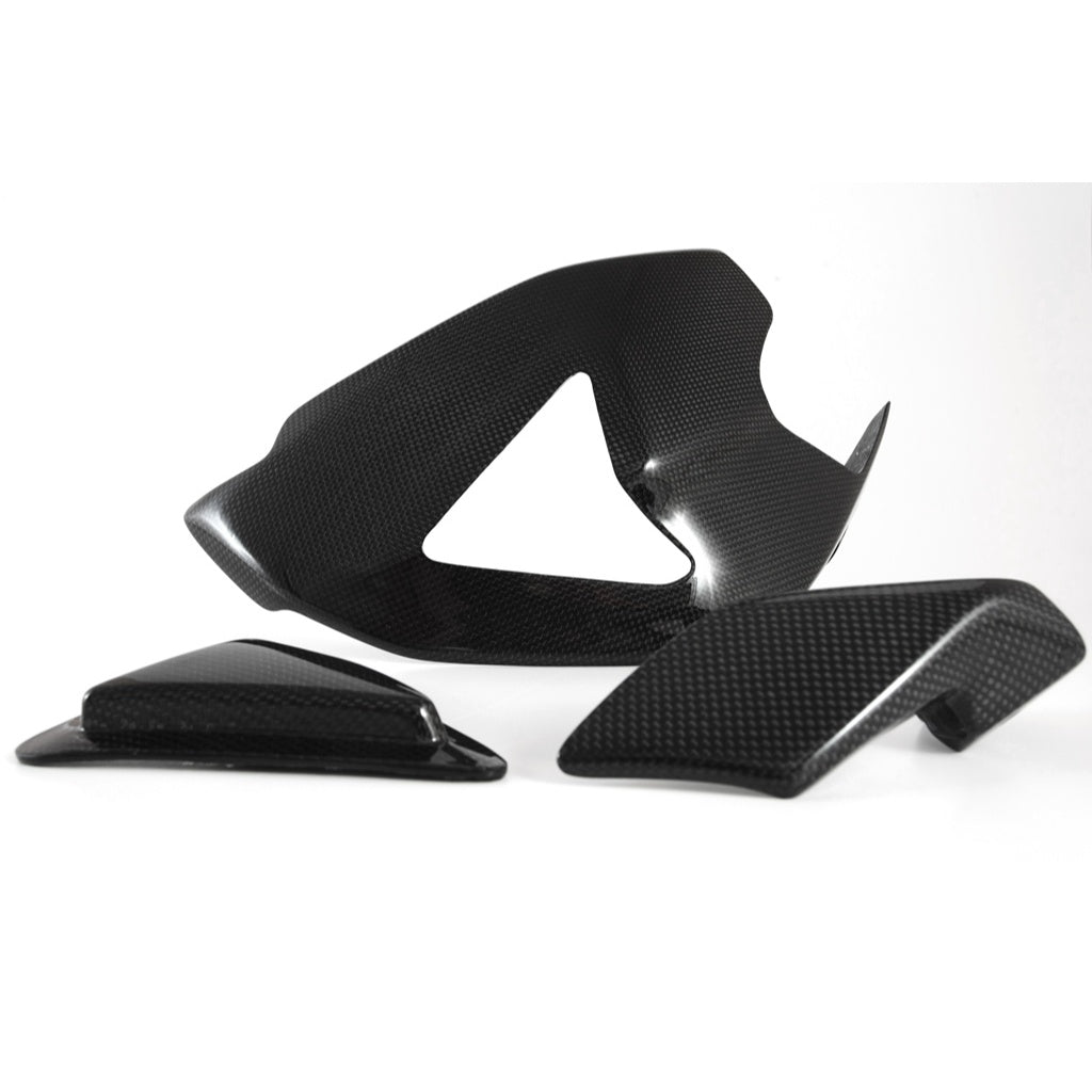 Fullsix - Swingarm Guard with Slider and Shark Fin Ducati Panigale