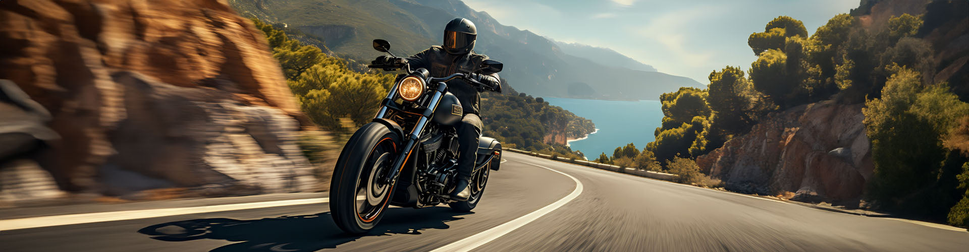 CRUISER – Backbone Industries